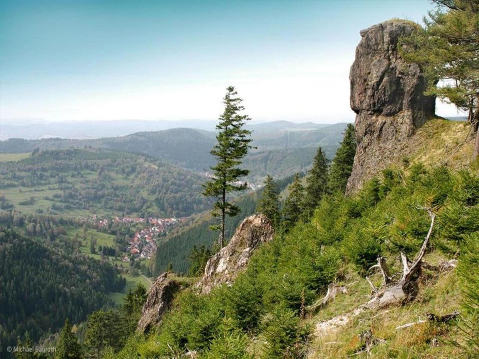 Vacation Home Am Hermannsberg, Oberschoenau Oberschonau Eksteriør billede
